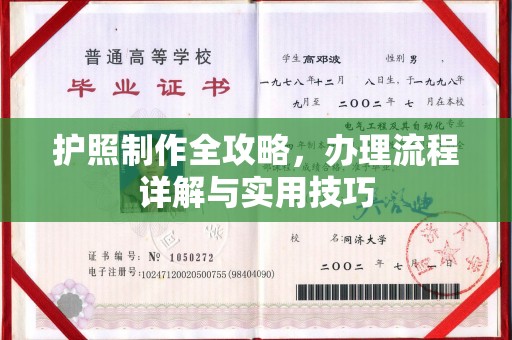 金城江护照制作全攻略，办理流程详解与实用技巧