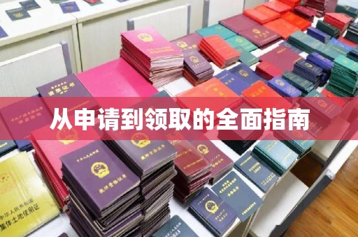 金城江从申请到领取的全面指南