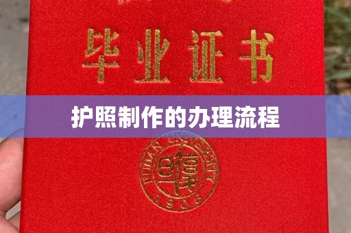 金城江护照制作的办理流程