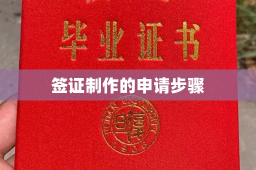 金城江签证制作的申请步骤