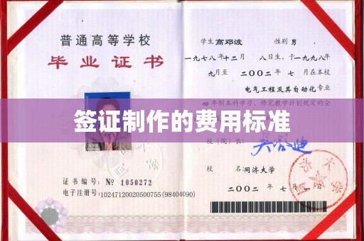 金城江签证制作的费用标准