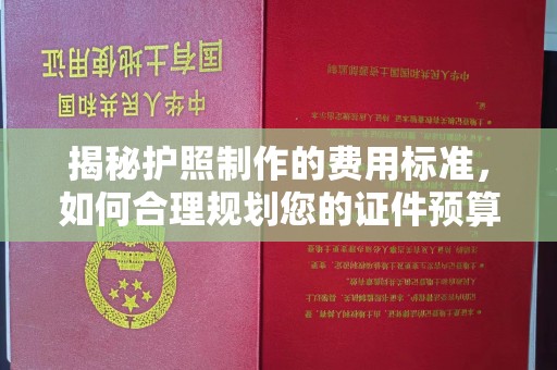 金城江揭秘护照制作的费用标准，如何合理规划您的证件预算