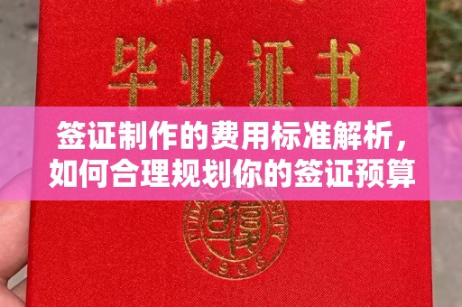 金城江签证制作的费用标准解析，如何合理规划你的签证预算
