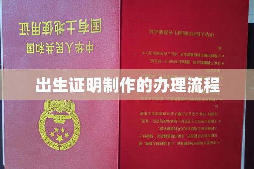 金城江出生证明制作的办理流程
