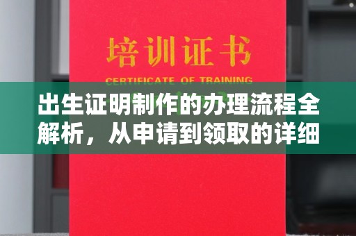 金城江出生证明制作的办理流程全解析，从申请到领取的详细指南