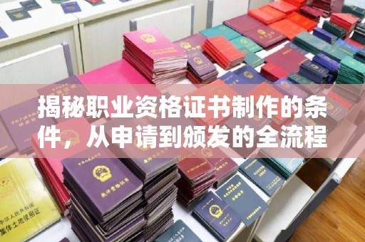 金城江揭秘职业资格证书制作的条件，从申请到颁发的全流程解析